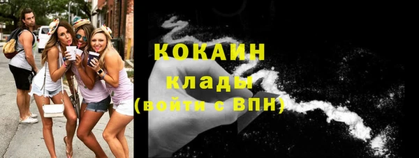 PSILOCYBIN Верхний Тагил