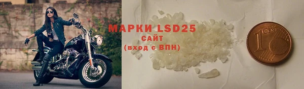 PSILOCYBIN Верхний Тагил