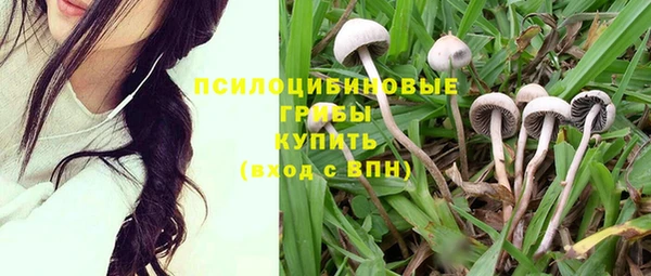 трава Верхнеуральск