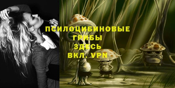 PSILOCYBIN Верхний Тагил